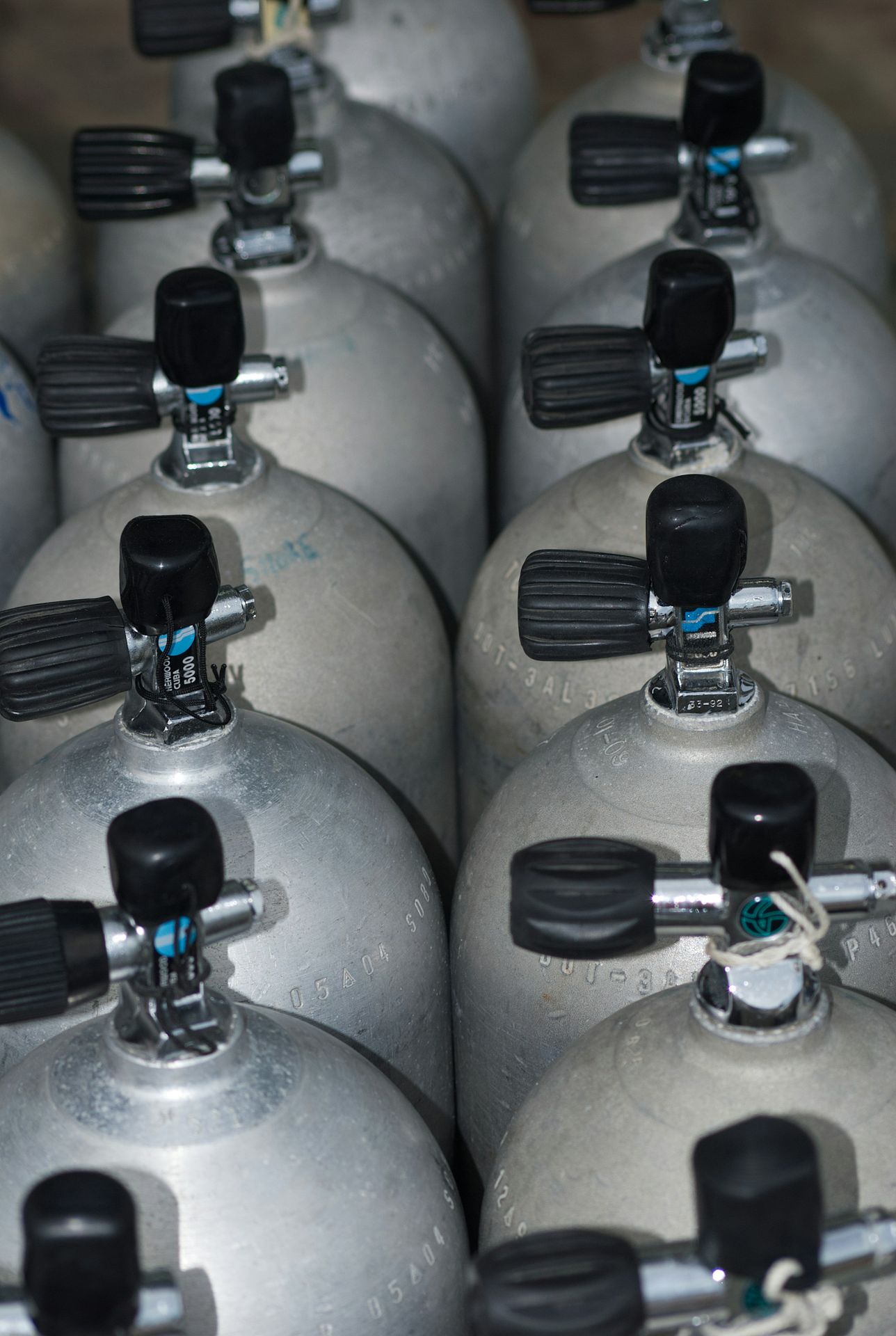 A bunch of propane tanks lined up together